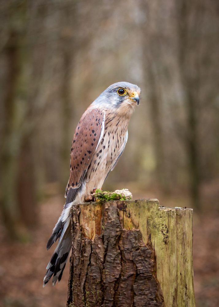 Photograph by Anatoly Chomko