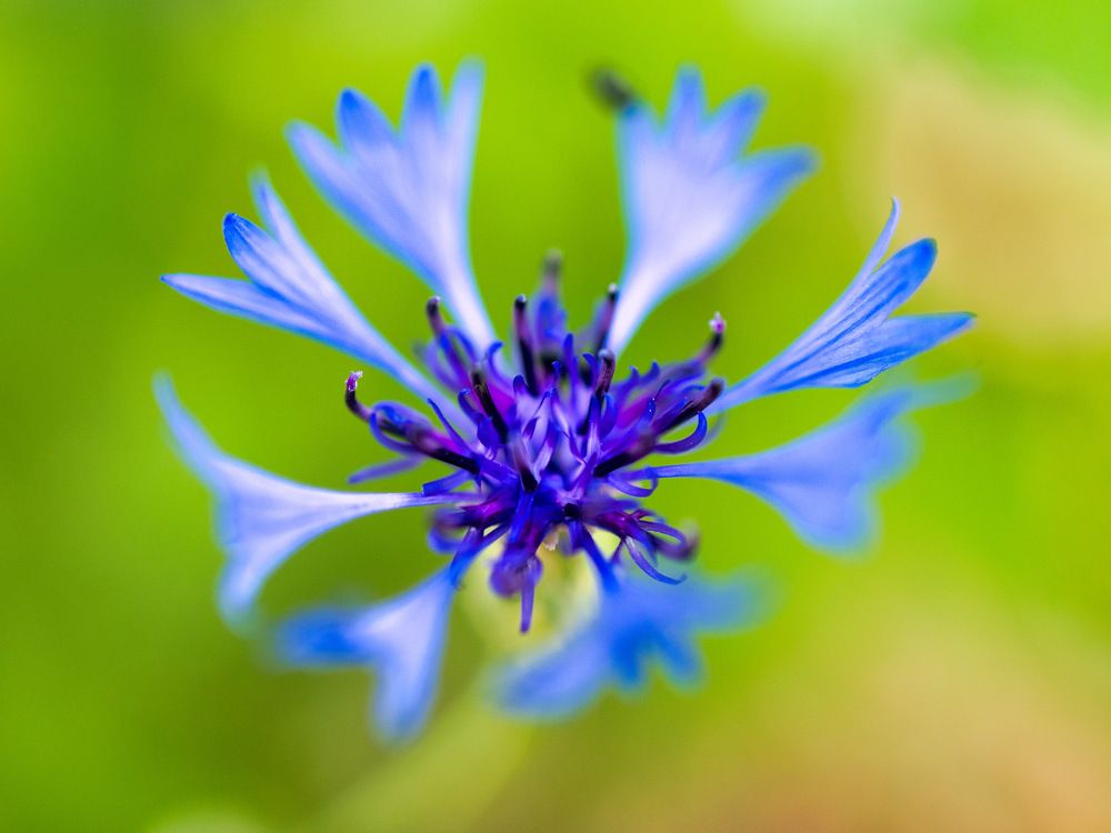 Photograph by iulian Micu