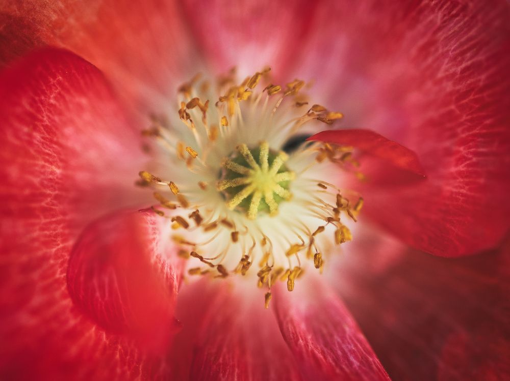 Photograph by iulian Micu