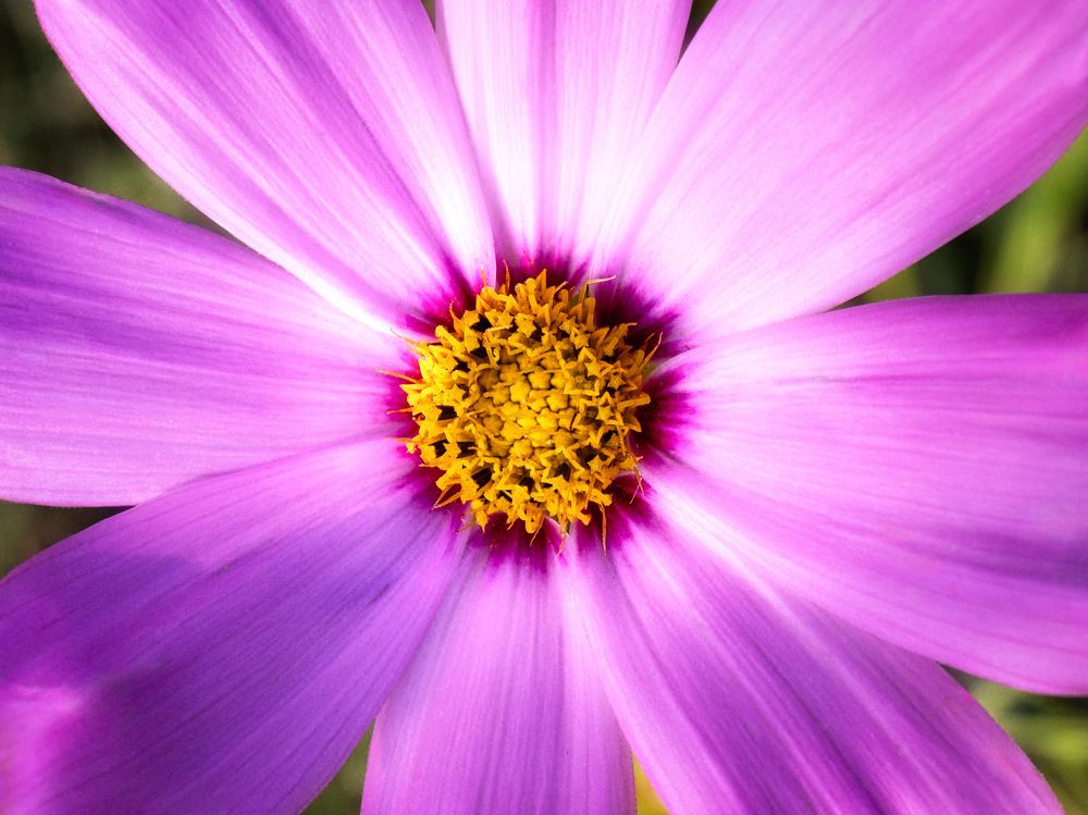 Photograph by iulian Micu