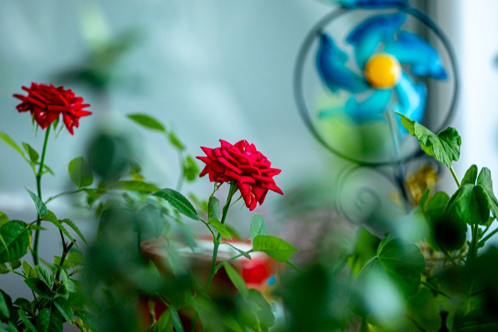 Photograph by Воробьёв Константин