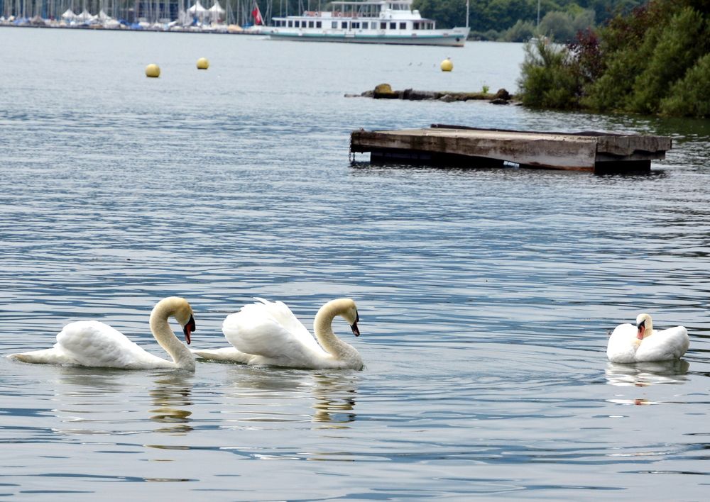 Фотография автора Юрий Рудый