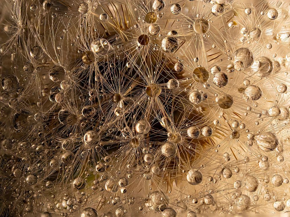 Photograph by Василий Губский