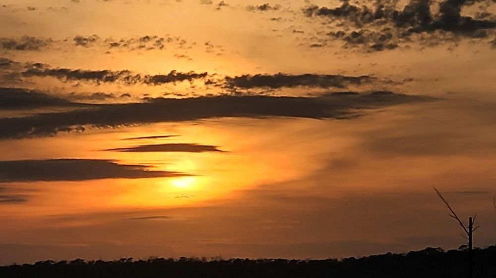 Photograph by Gilson Marcos Ferreira de OLIVEIRA