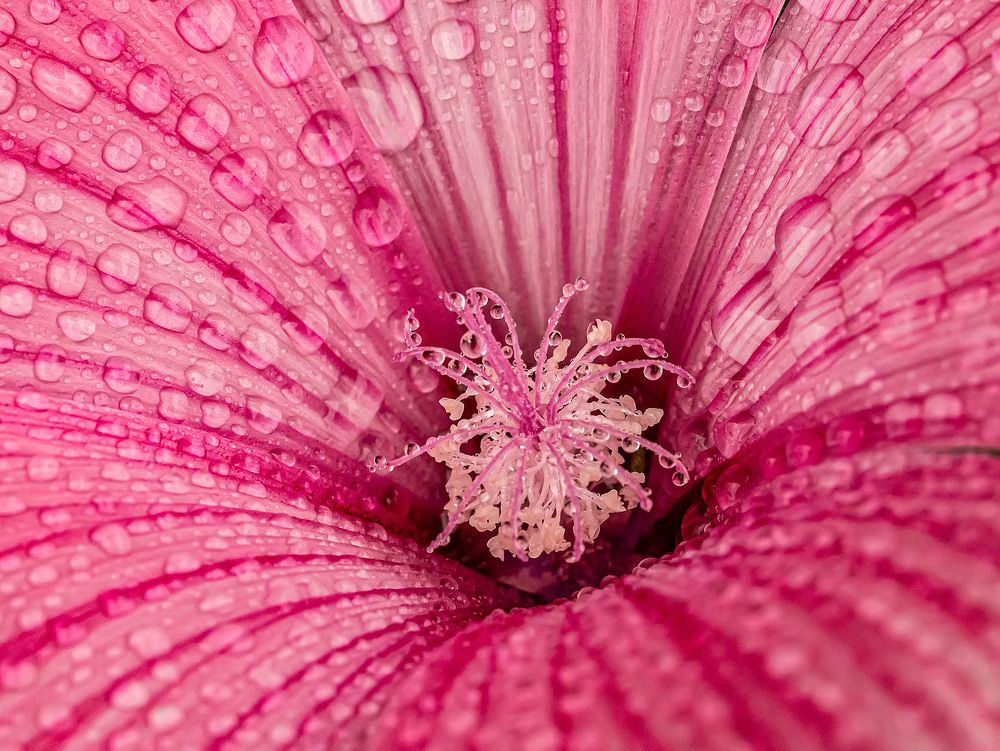 Photograph by Василий Губский