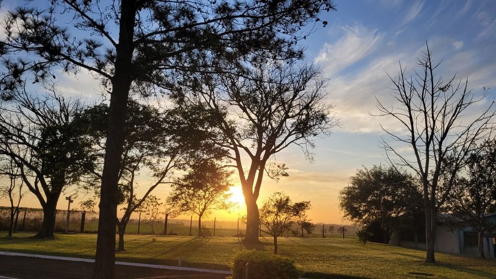 Photograph by Gilson Marcos Ferreira de OLIVEIRA
