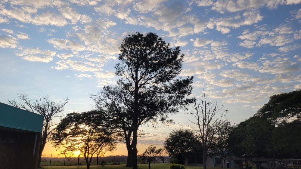 Photograph by Gilson Marcos Ferreira de OLIVEIRA