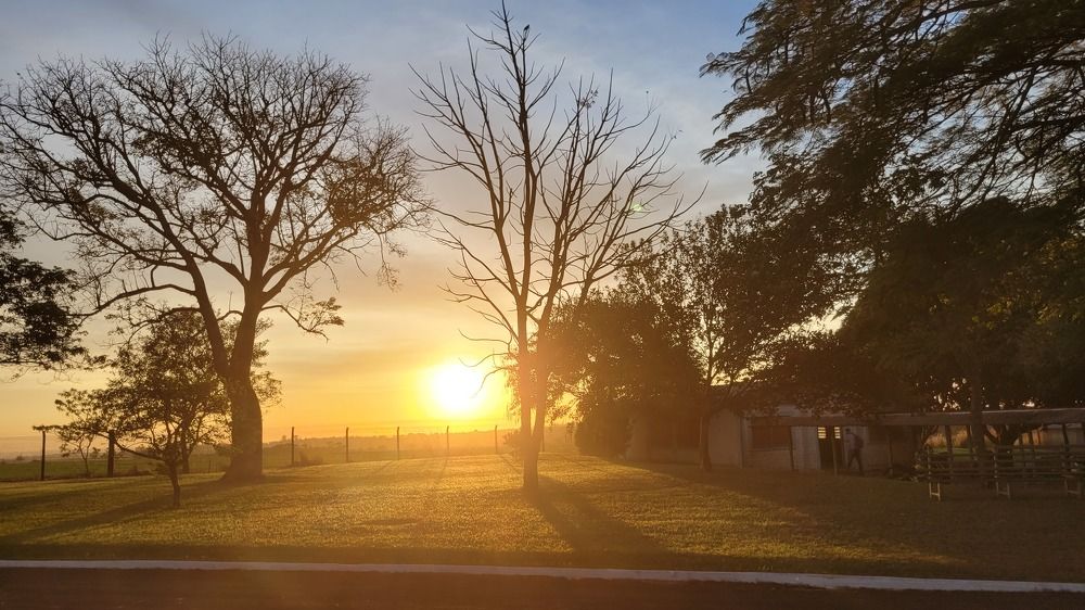 Photograph by Gilson Marcos Ferreira de OLIVEIRA