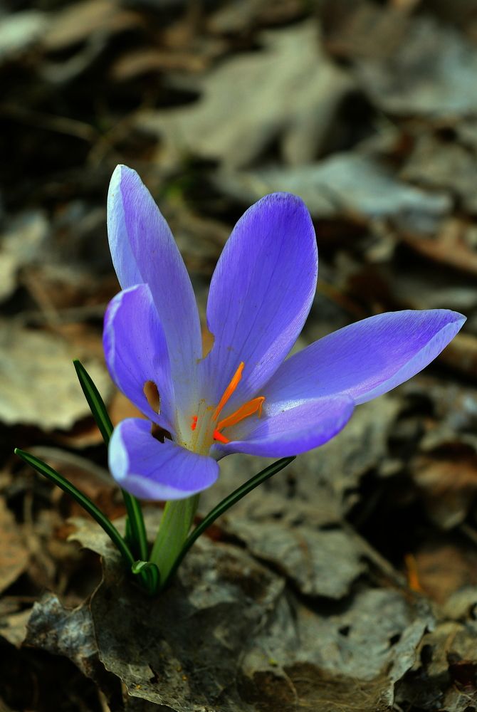 Photograph by Андрей Москалев