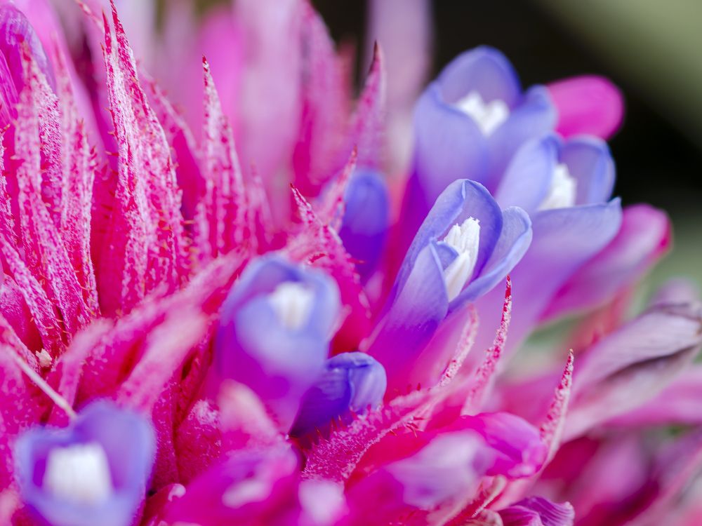 Photograph by Luiz Augusto Magina