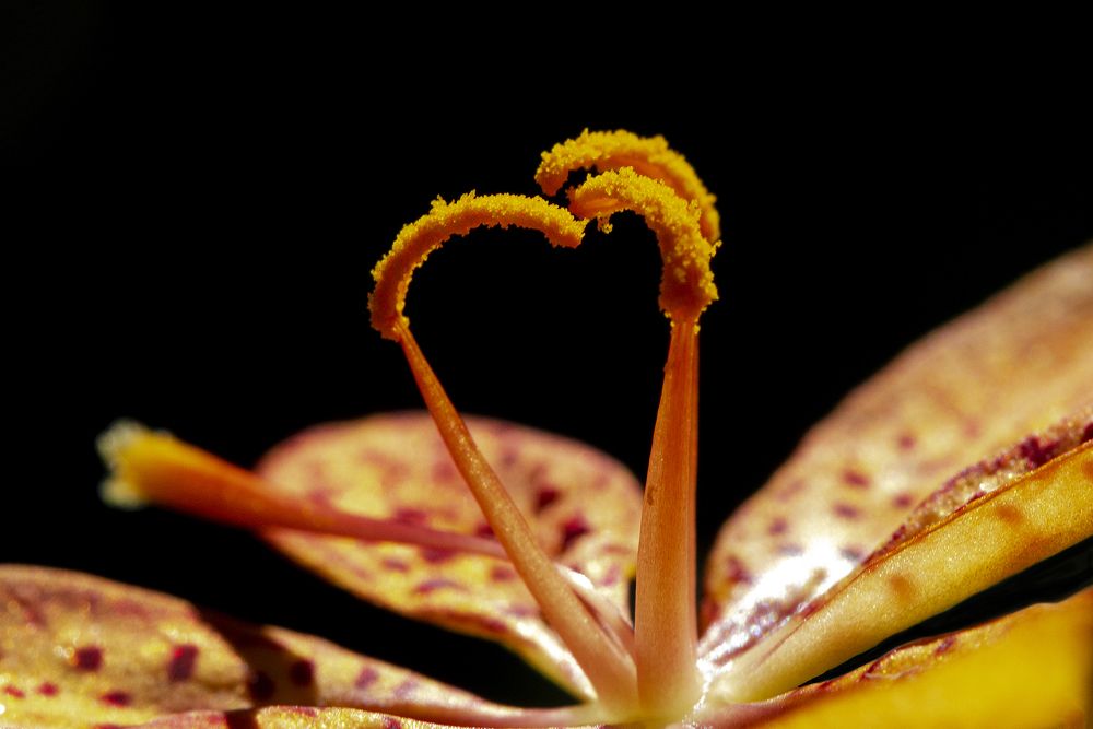 Photograph by Luiz Augusto Magina