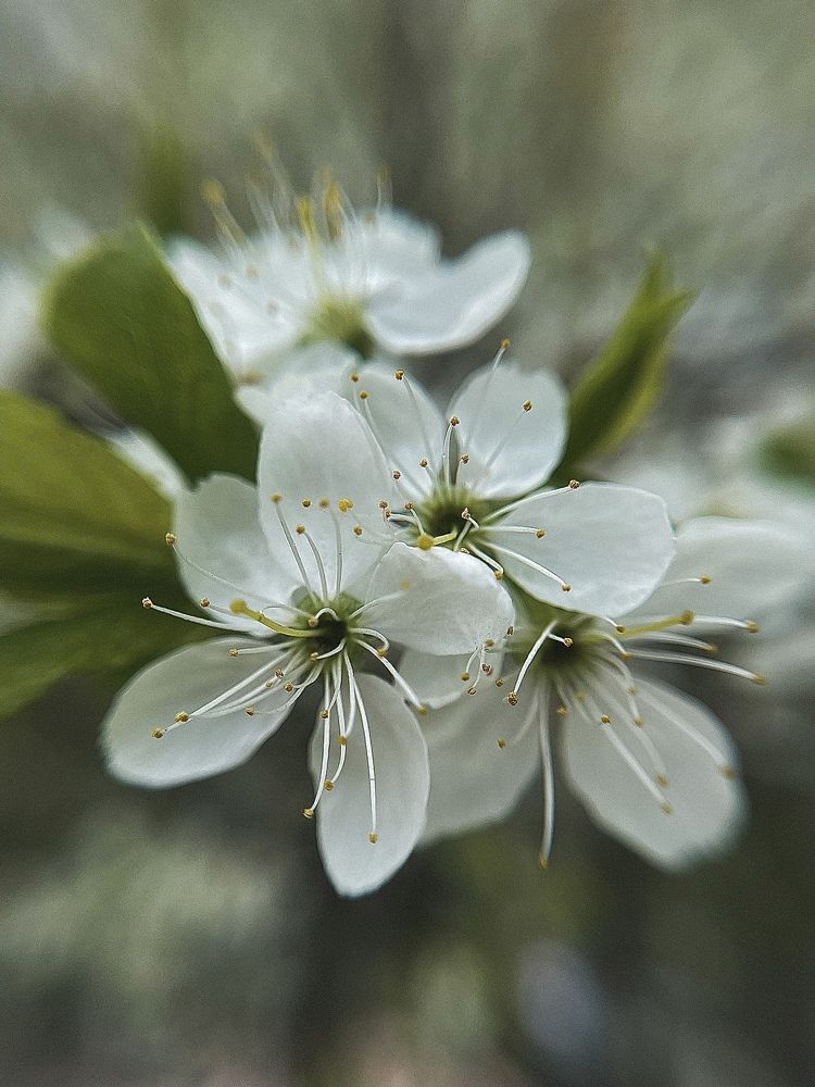 Фотография автора Юлия Косинова