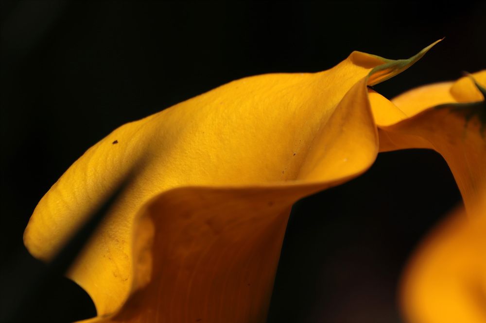 Photograph by Евгений Власов