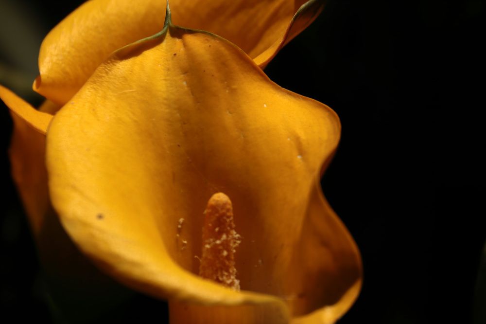 Photograph by Евгений Власов