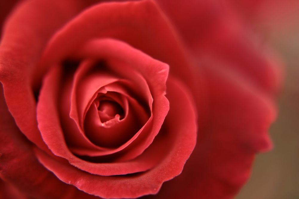 Photograph by Евгений Власов