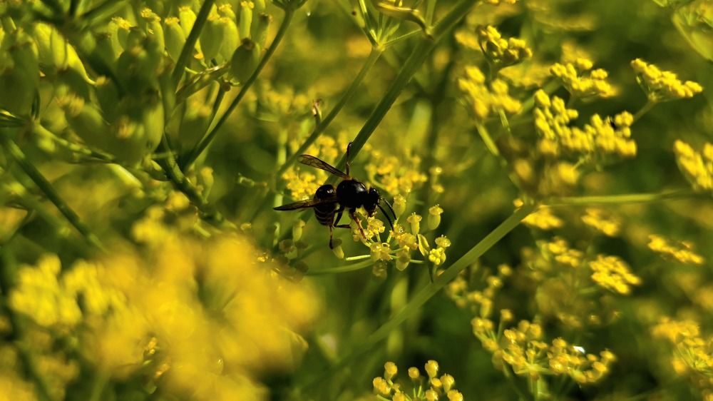 Photograph by Анна Семенова