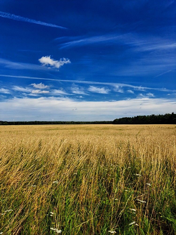 Фотография автора Monika Jurak