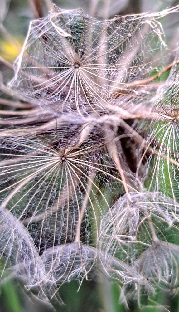 Фотография автора Monika Jurak