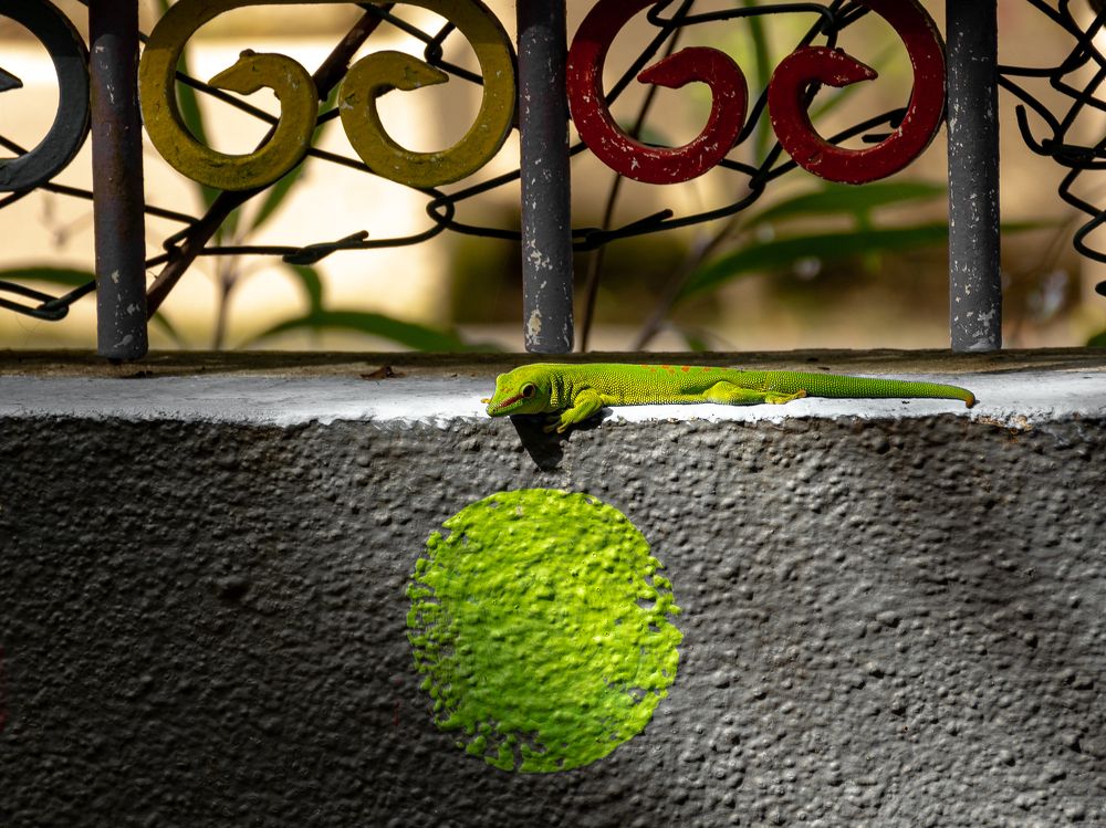 Photograph by Наталья Кокорина