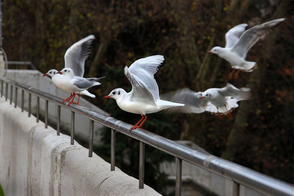 Фотография автора Татьяна Сергиенко