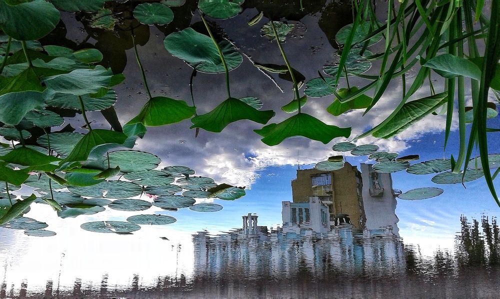 Photograph by Нина Паршина