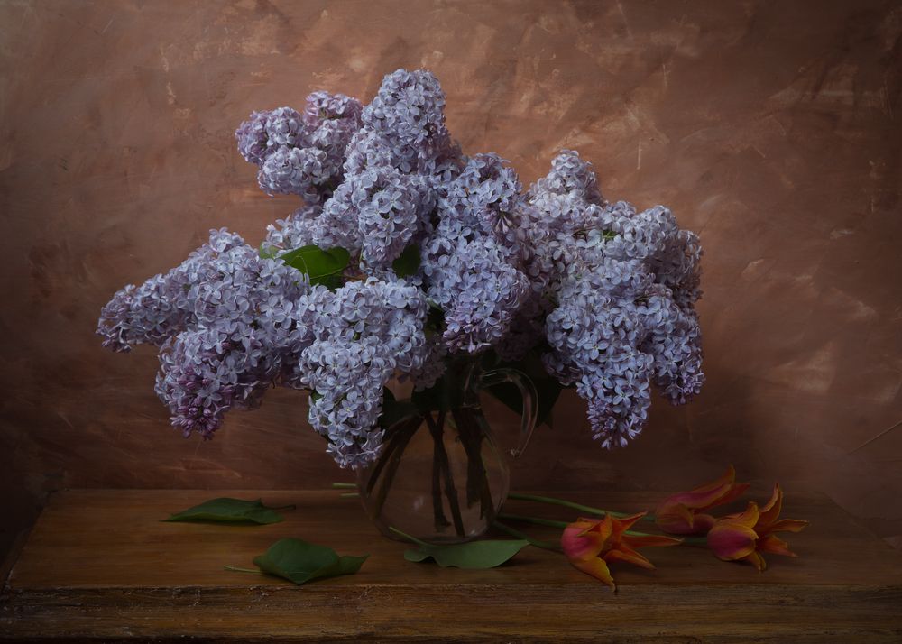 Photograph by Сергей Алексеев