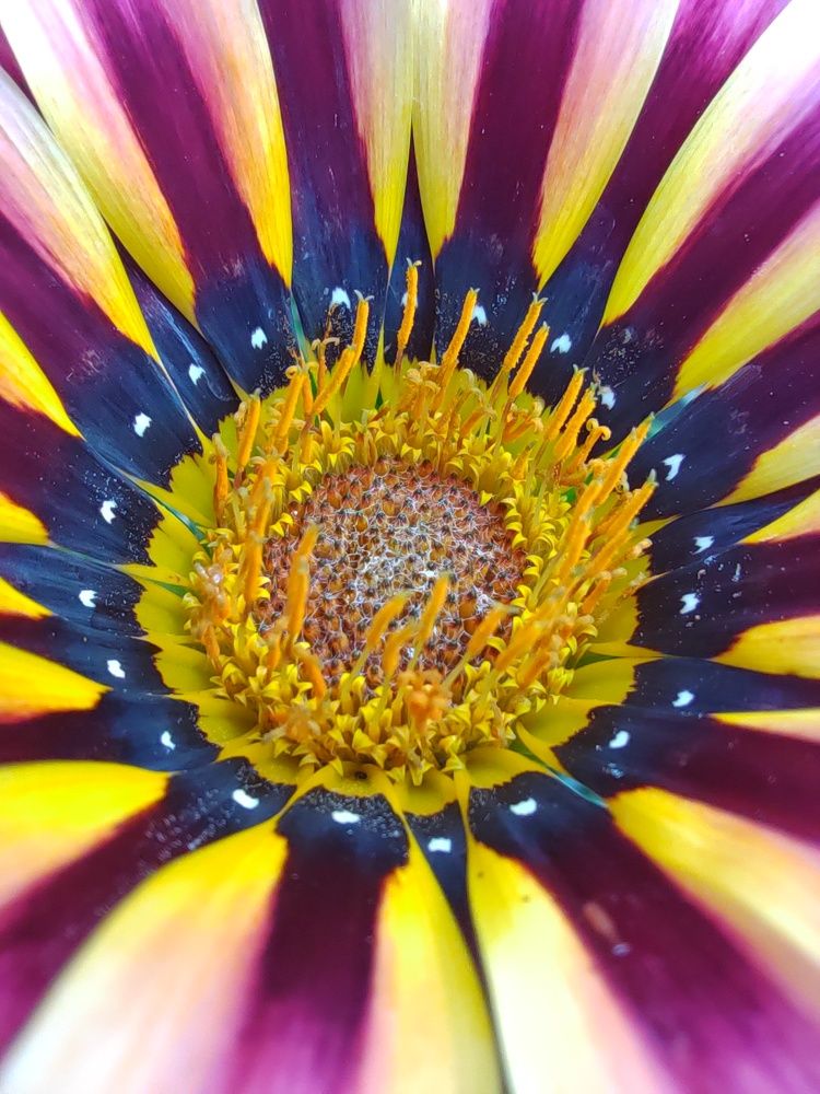 Photograph by Серёга Ануфриев