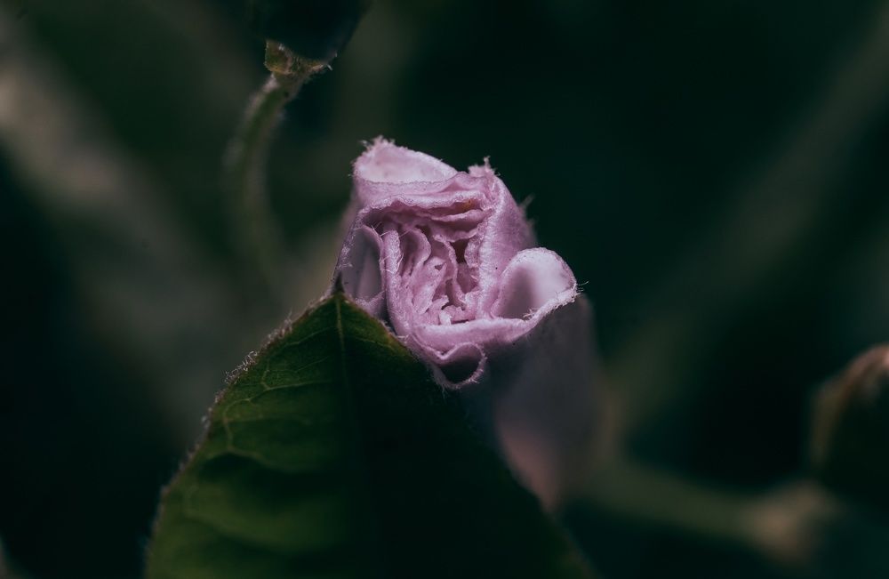 Photograph by Алексей Коровин