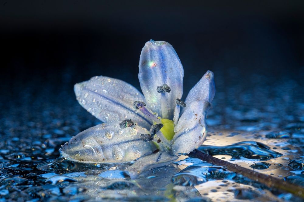 Photograph by Алексей Коровин