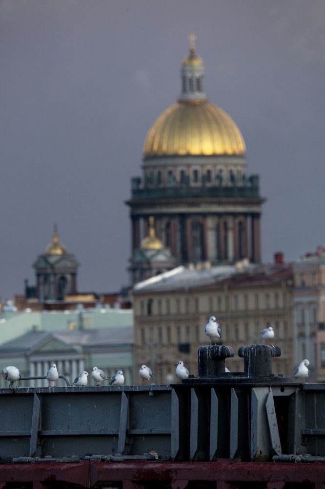 Photograph by Игорь Сапронов