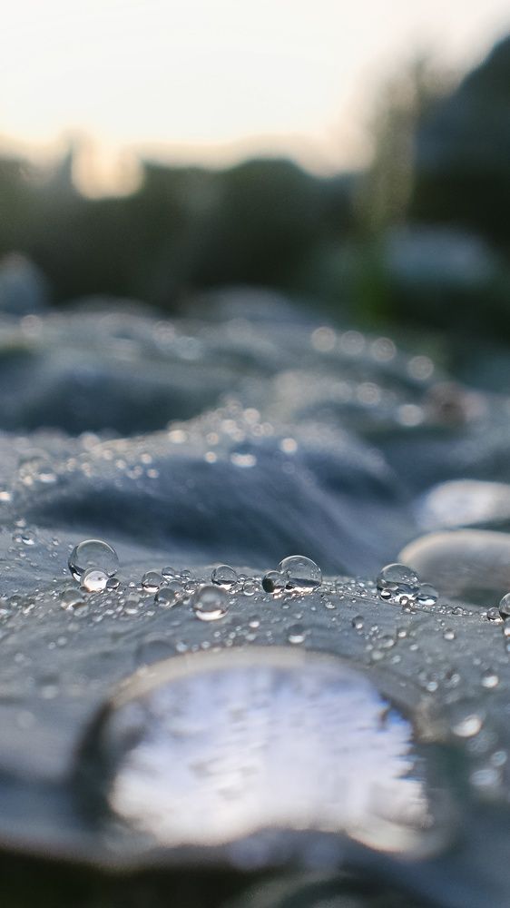 Photograph by Татьяна Пятернёва