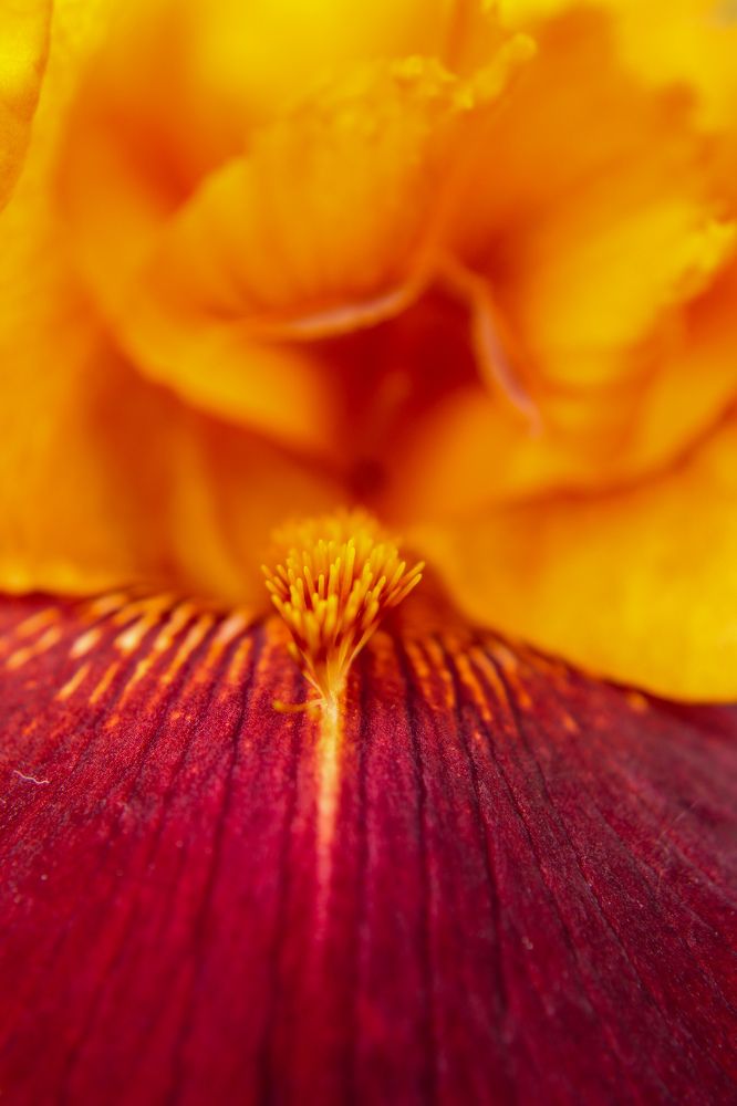 Photograph by Ирина Дмитриенко