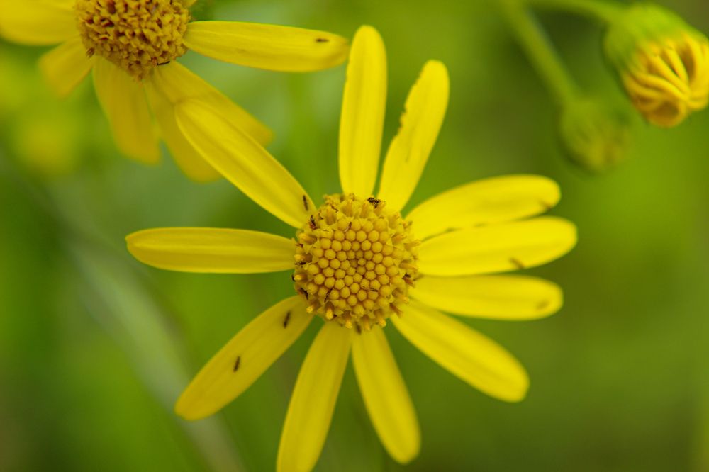 Photograph by Ирина Дмитриенко