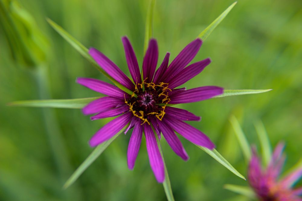 Photograph by Ирина Дмитриенко