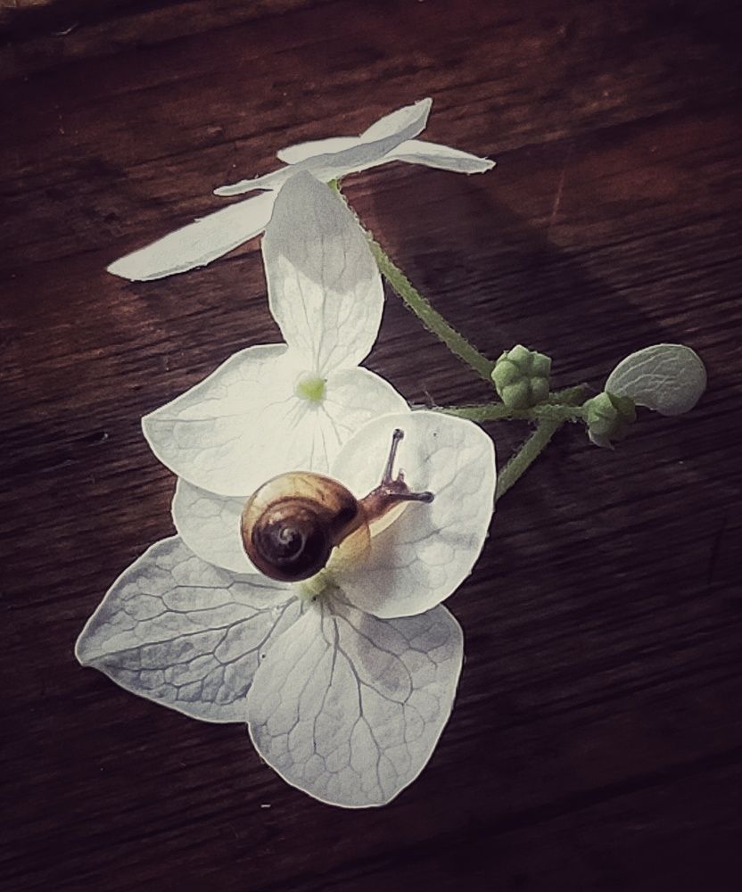 Photograph by Ольга Мартьянова