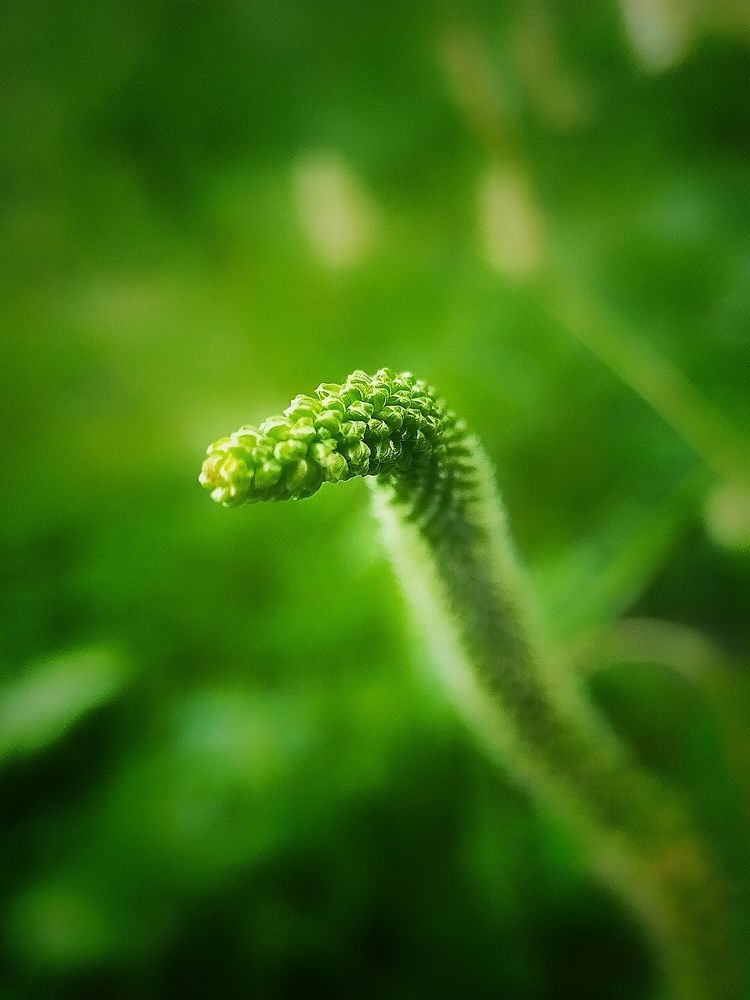 Photograph by Ольга Мартьянова