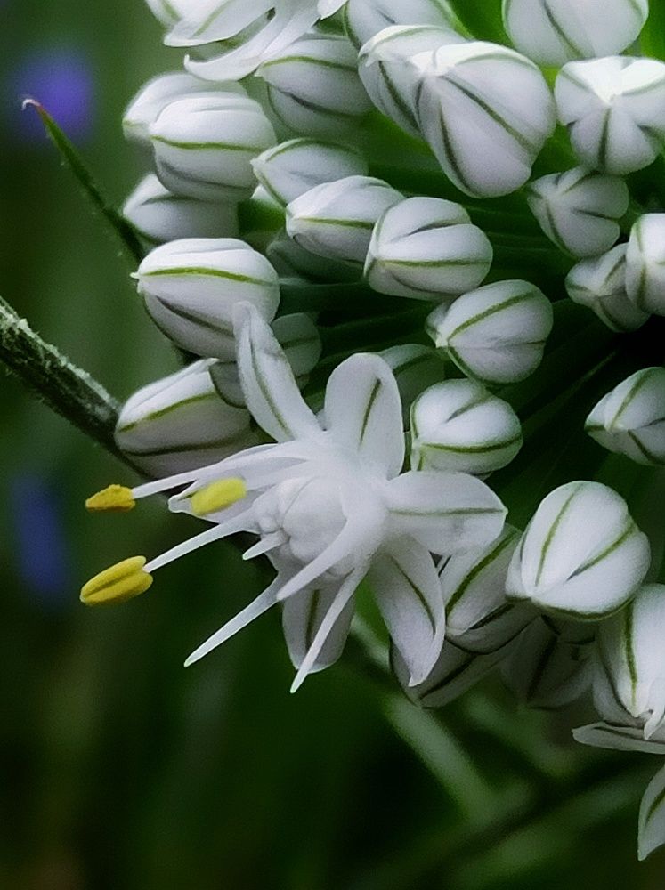 Photograph by Ольга Мартьянова