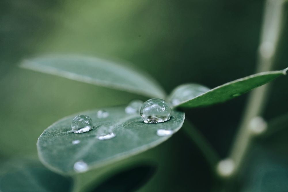 Photograph by Ольга Метлицкая