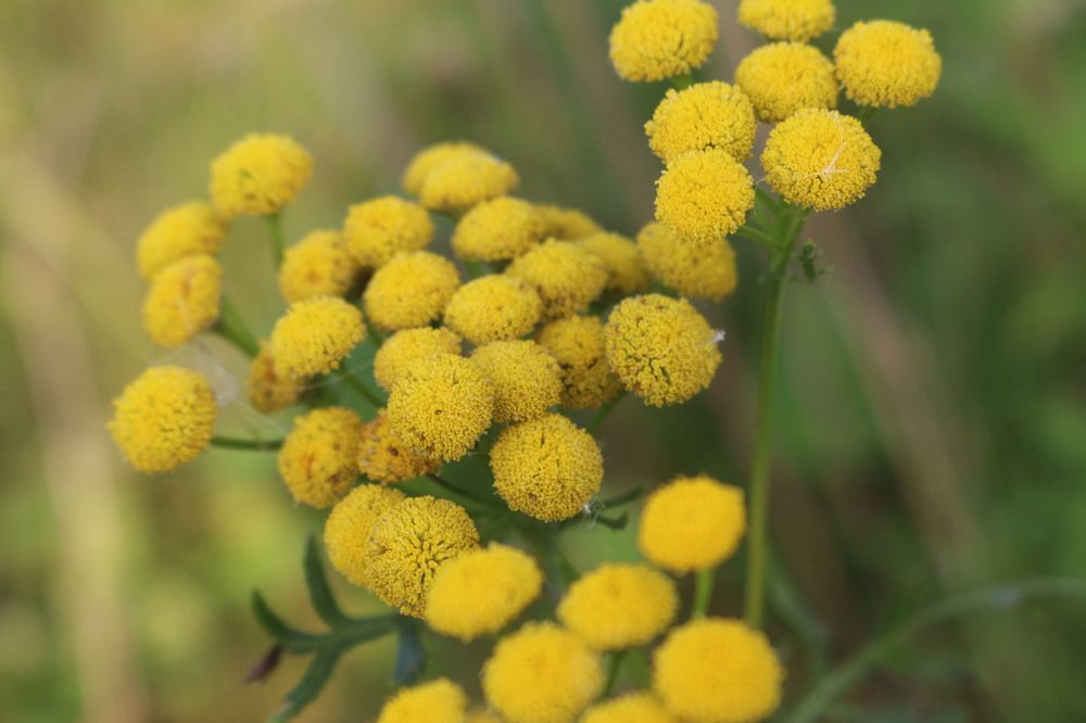 Photograph by Софья Белоногова