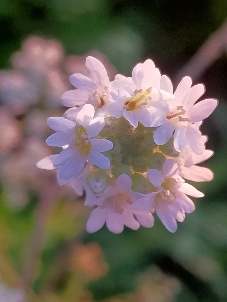 Photograph by Ольга Мартьянова