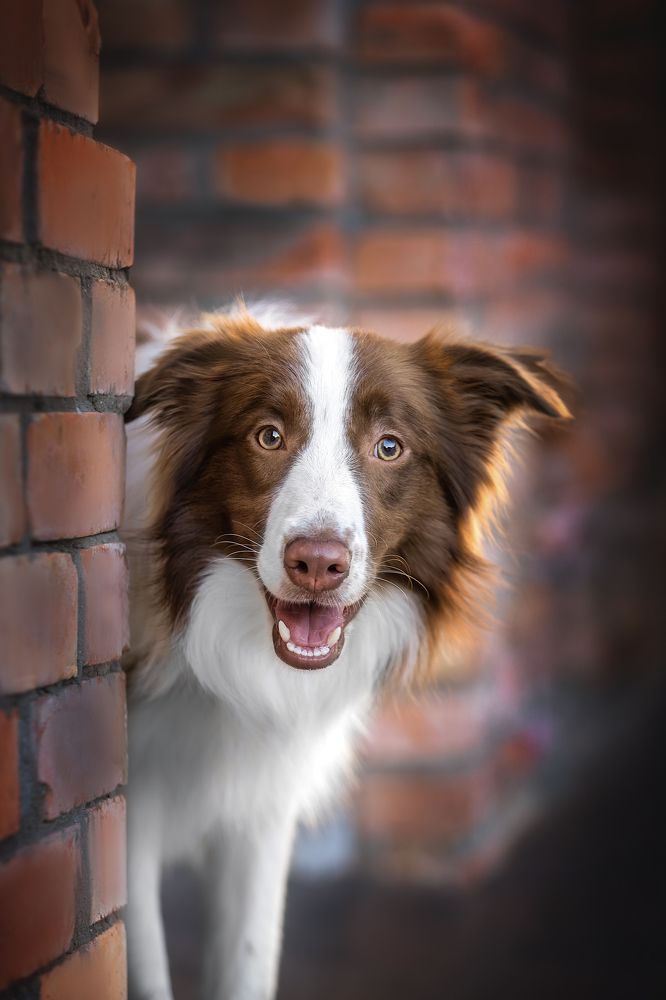 Photograph by Ирина Голомб