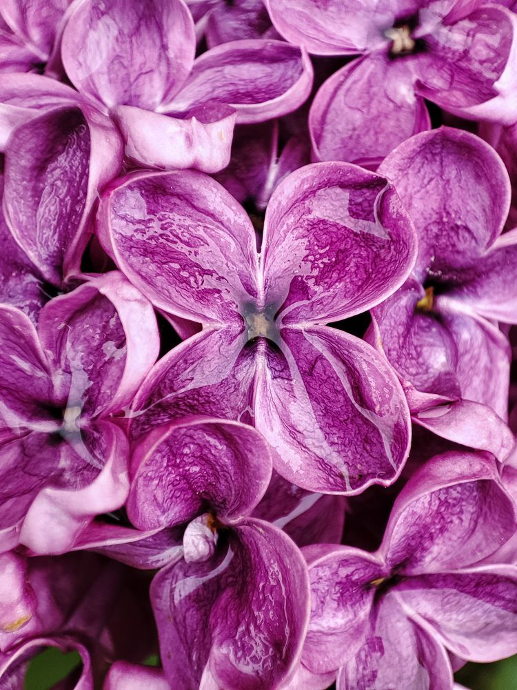 Photograph by Оксана Бурцева