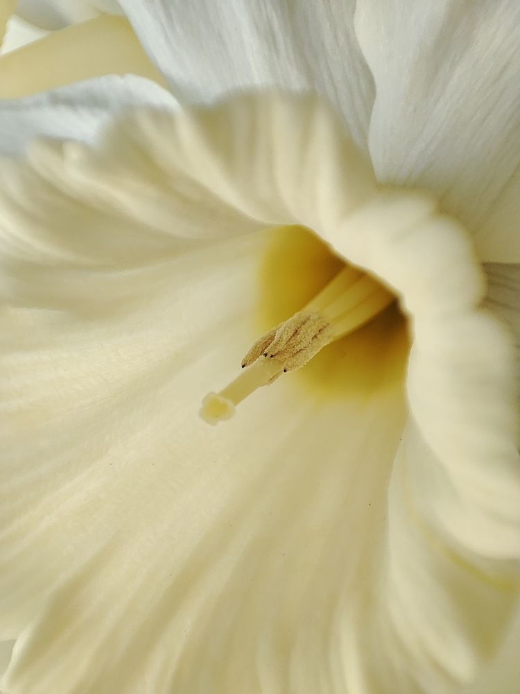 Photograph by Оксана Бурцева