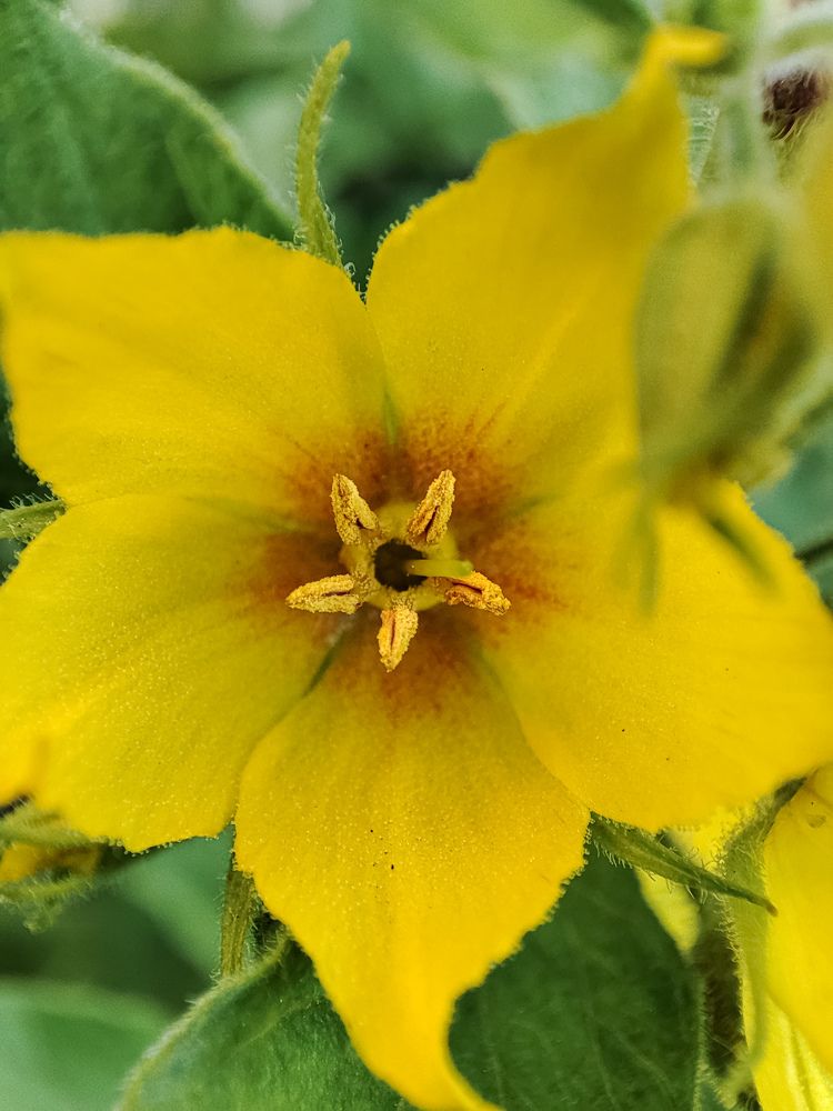 Photograph by Оксана Бурцева