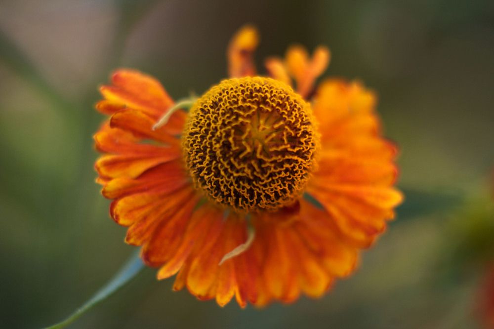 Photograph by Yroslava Veretina