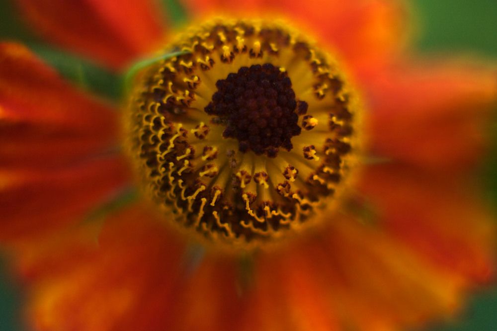 Photograph by Yroslava Veretina