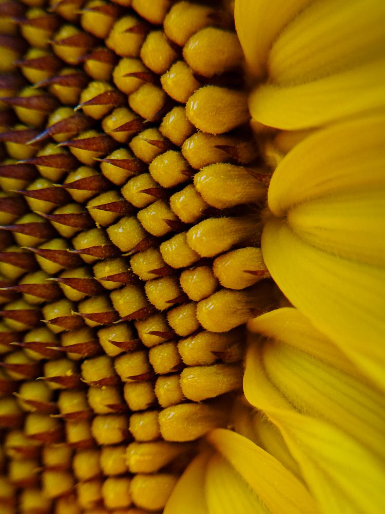 Photograph by Светлана Фоменко