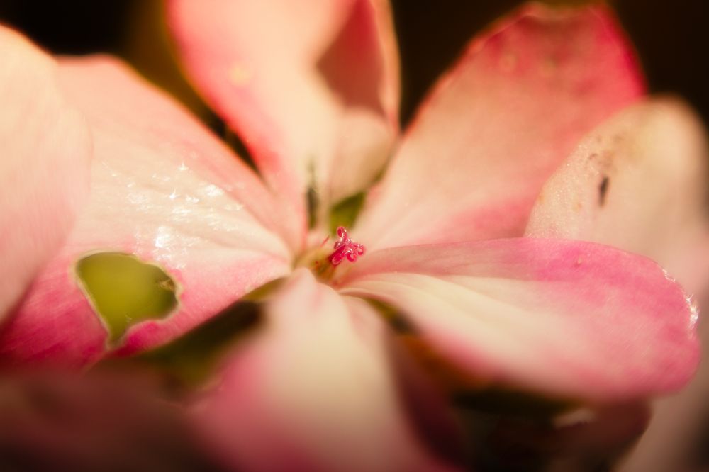 Photograph by Ксения Минаева