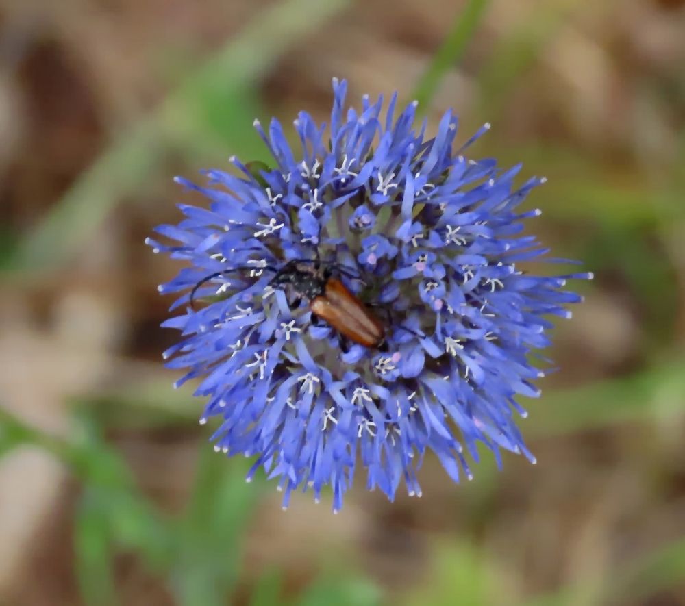 Photograph by Pjotr Alekseev