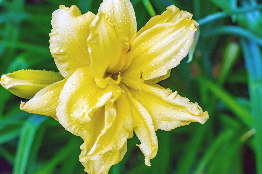 Photograph by Демьян Лопатов